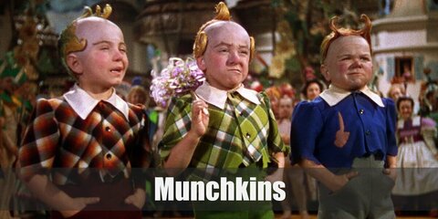 Lollipop Guild / Munchkins (The Wizard of Oz) Costume