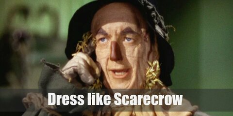Scarecrow (Wizard of Oz) Costume