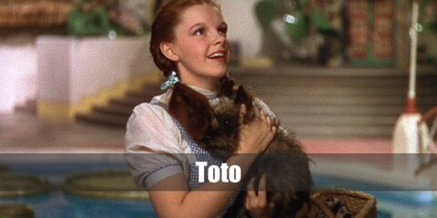 Toto (Baby Dog) Costume from The Wizard of Oz