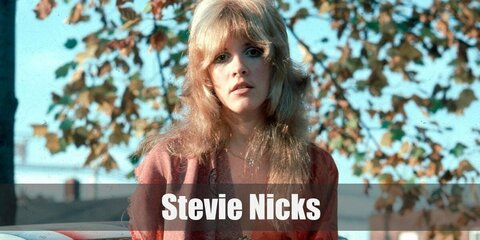 Stevie Nicks Costume