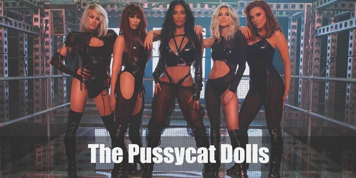 Pussycat Dolls Costume