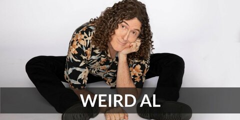 ”Weird Al” Yankovic Costume