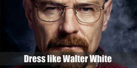 Walter White (Breaking Bad) Costume