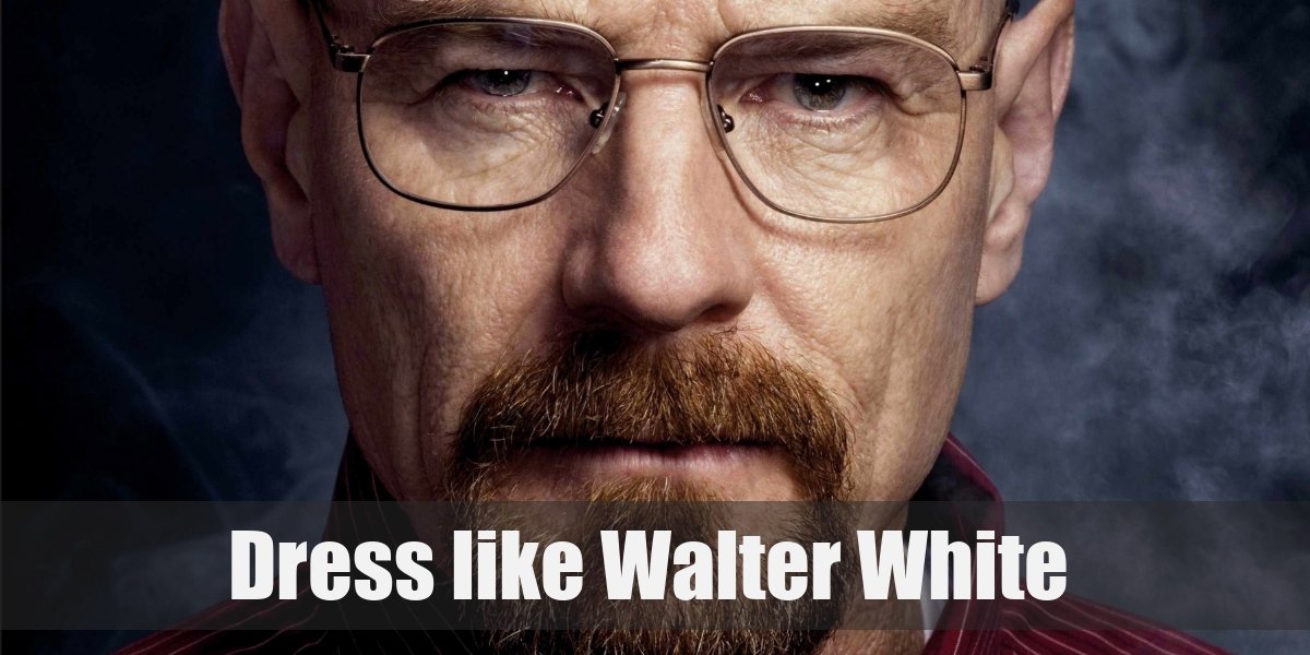 Walter White (Breaking Bad) Costume
