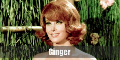 Ginger (Gilligan's Island) Costume