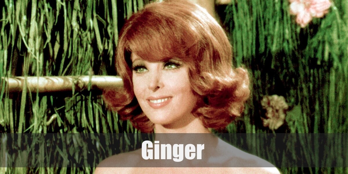 Ginger (Gilligan's Island) Costume