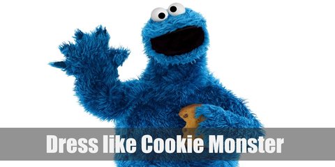 Cookie Monster Costume