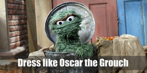 Oscar the Grouch (Sesame Street) Costume